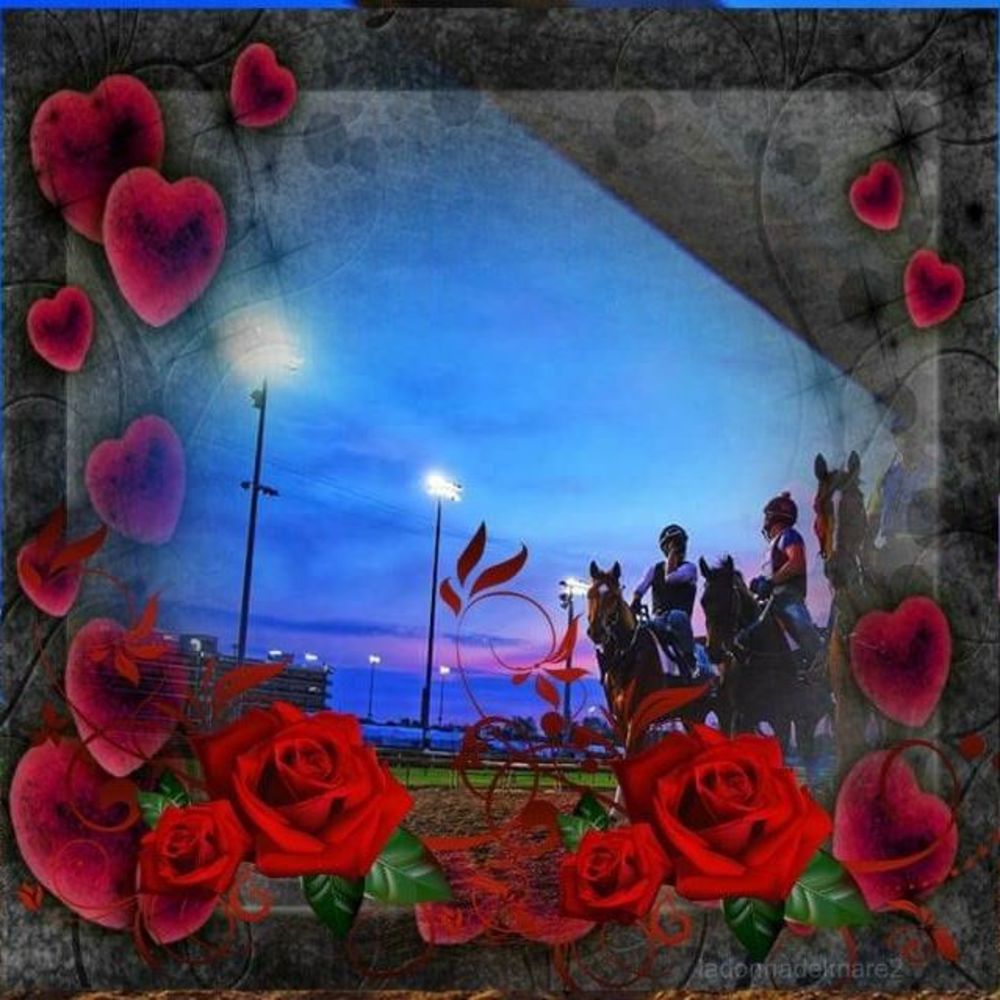 Meet your Posher, Julie